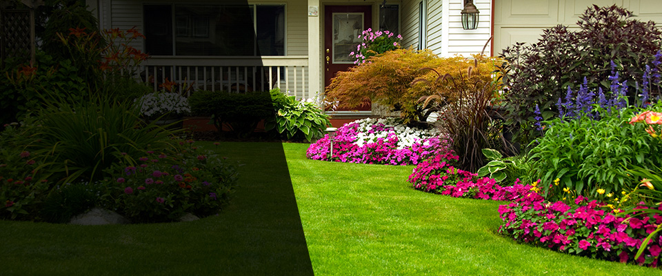 Charleroi Landscapers