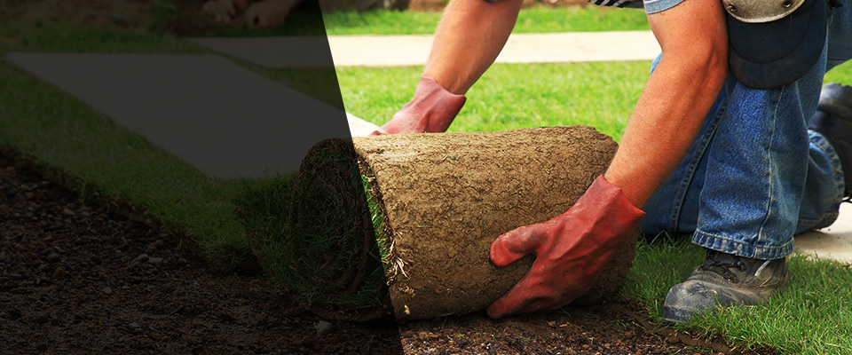 Charleroi Landscapers